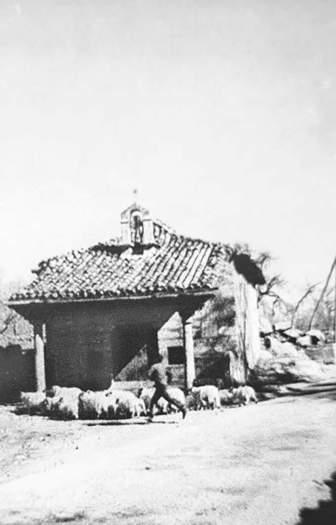 Foto de ermita de san Antonio con ovejas